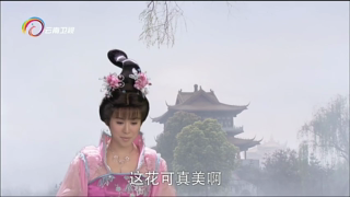 	云南卫视	